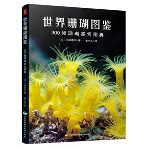 世界珊瑚图鉴-300幅珊瑚鉴赏图典