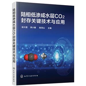 陆相低渗咸水层CO2封存关键技术与应用