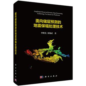 面向储层预测的地震保幅处理技术