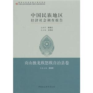 中国民族地区经济社会调查报告