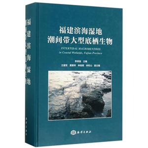 福建滨海湿地潮间带大型底栖生物