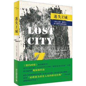 迷失Z城