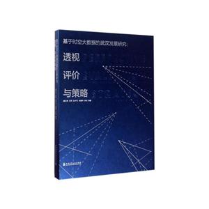 基于时空大数据的武汉发展研究:透视评价与策略