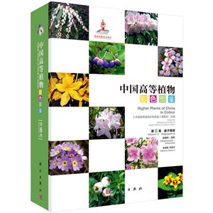 中国高等植物彩色图鉴:第6卷:Volume Ⅵ:被子植物 岩梅科-茄科:Angiosperms