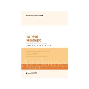 长江中游城市群研究