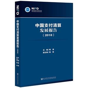 社会科学文献出版社中国支付清算发展报告(2018)