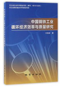 中国钢铁工业循环经济效率与质量研究