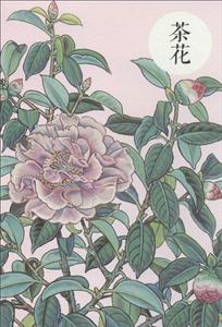 祝大年格调笔记系列茶花