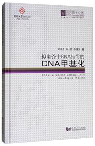 拟南芥中RNA指导的DNA甲基化