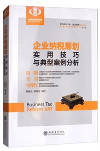 企业纳税筹划实用技巧与典型案例分析