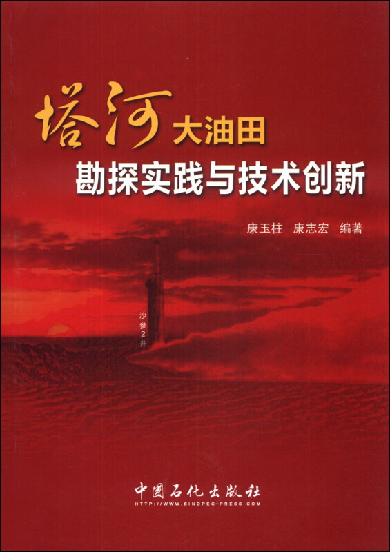 塔河大油田勘探实践与技术创新