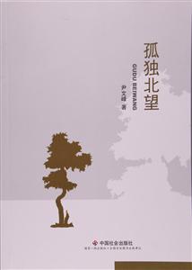 孤独北望:尹文峰中、短篇小说精选