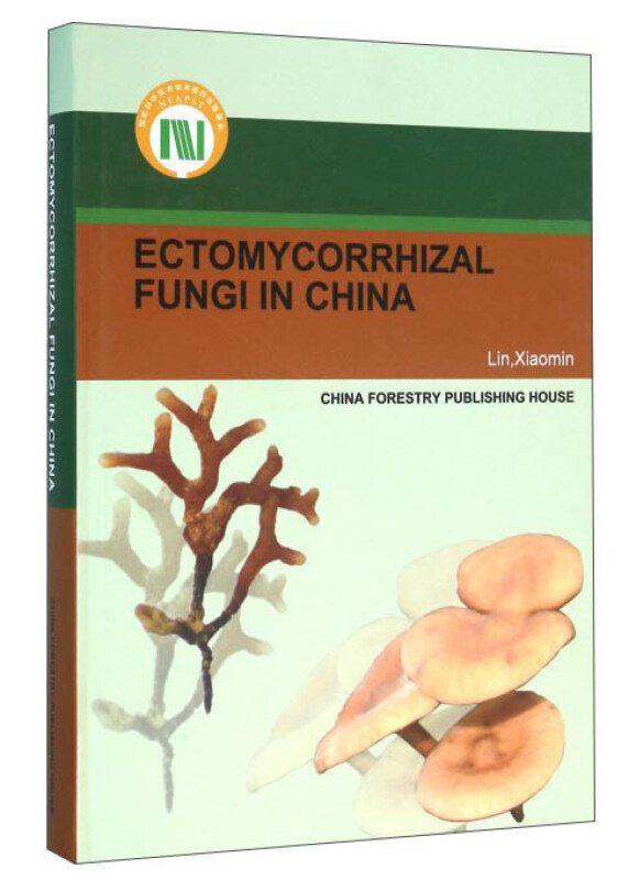 中国外生菌根菌