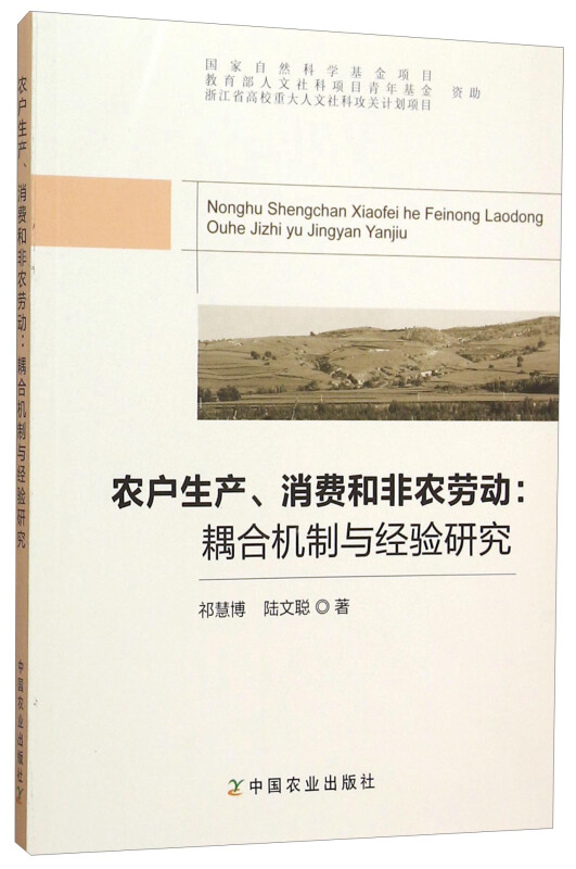 农户生产、消费和非农劳动:耦合机制与经验研究