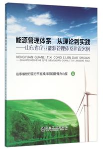 能源管理体系 从理论到实践
