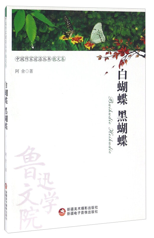 白蝴蝶 黑蝴蝶