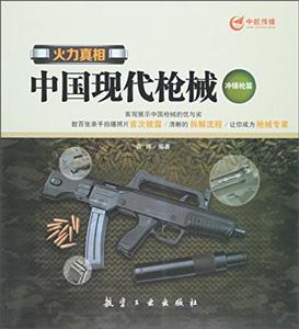 中国现代枪械:冲锋枪篇