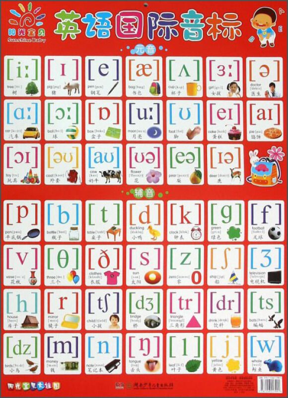 英文字母表.英语国际音标-阳光宝贝大挂图
