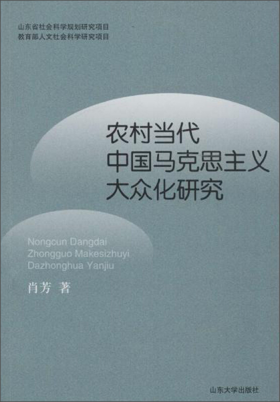 农村当代中国马克思主义大众化研究