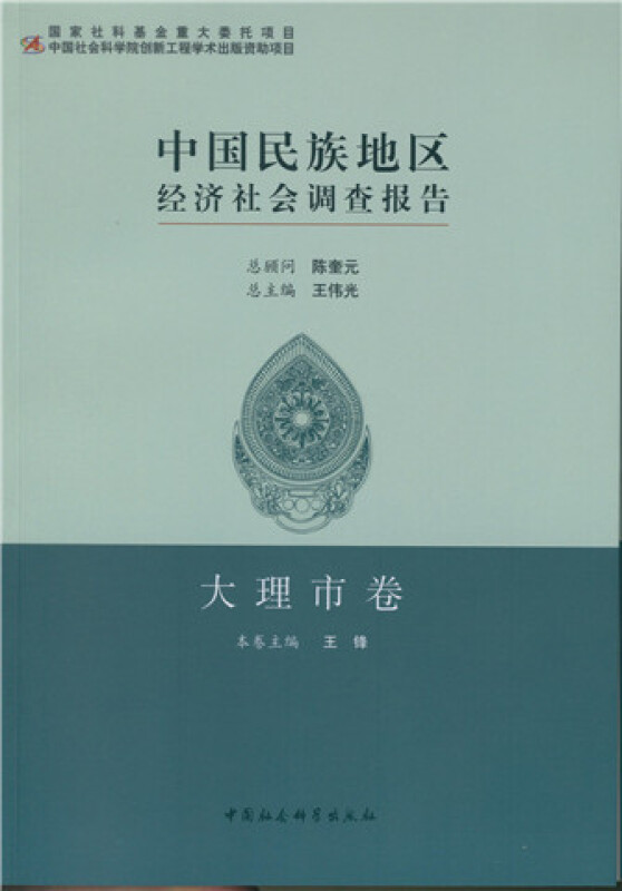 大理市卷-中国民族地区经济社会调查报告