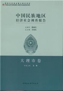 大理市卷-中国民族地区经济社会调查报告