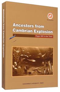 Ancestors from Cambrian Explosion-󱬰l(f)h(yun)