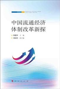 中国流通经济体制改革新探