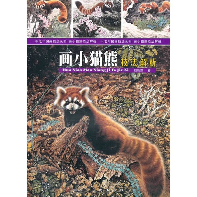 画小熊猫技法解析