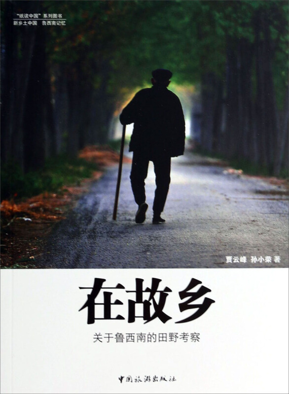 在故乡:关于鲁西南的田野考察
