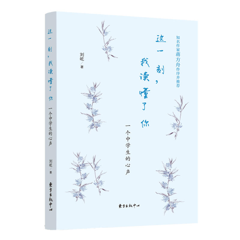 这一刻,我读懂了你:一个中学生的心声