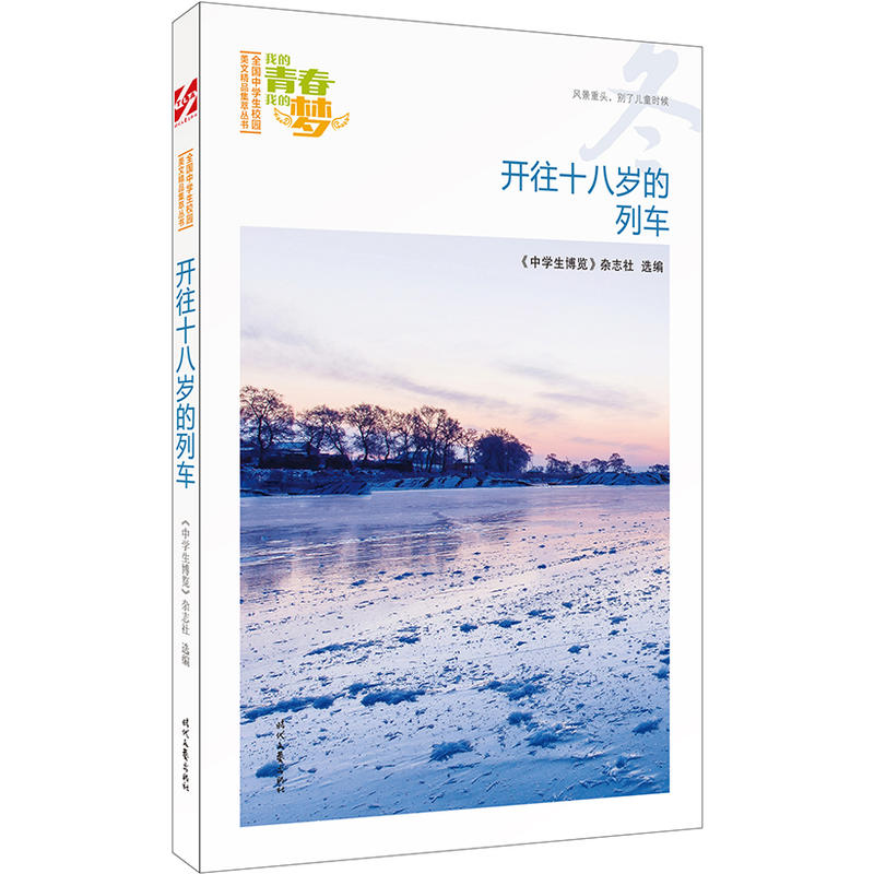 我的青春我的梦:开往十八岁的列车(冬)