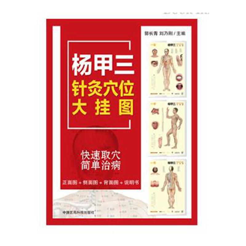 中国医药科技出版社杨甲三针灸穴位大挂图