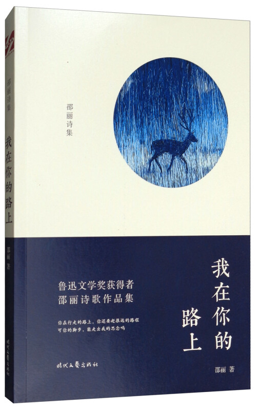我在你的路上:邵丽诗集