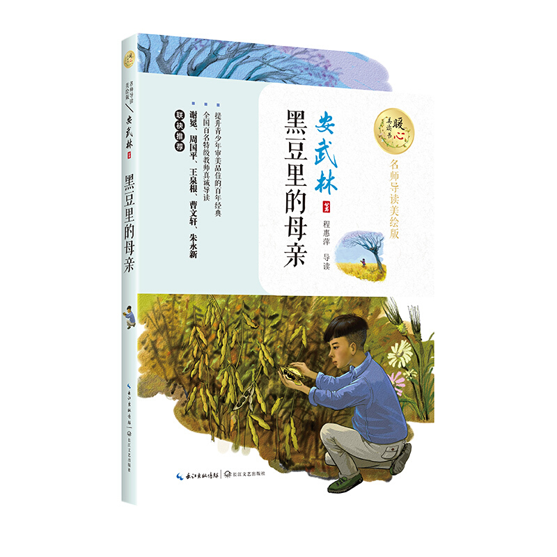 黑豆里的母亲