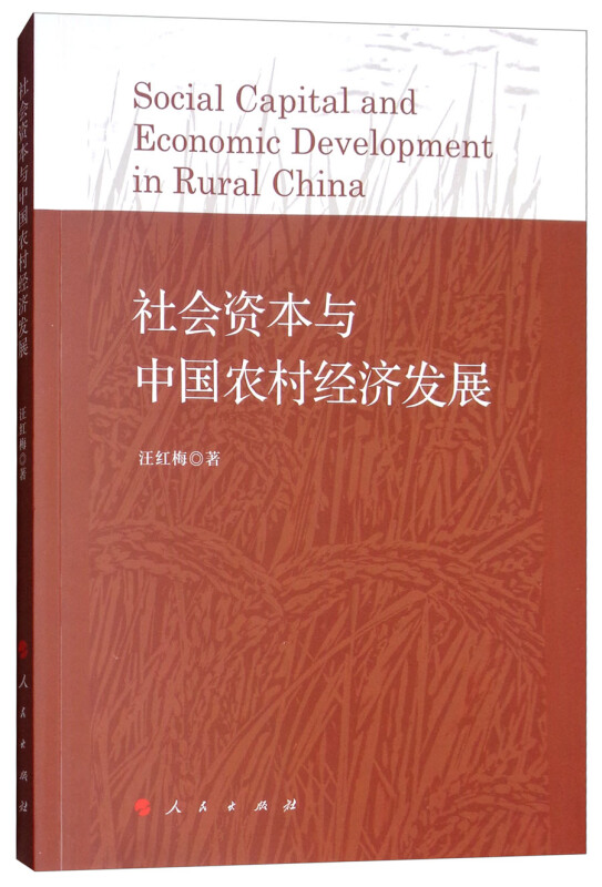 社会资本与中国农村经济发展