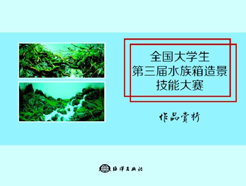 全国大学生第三届水族箱造景技能大赛作品赏析