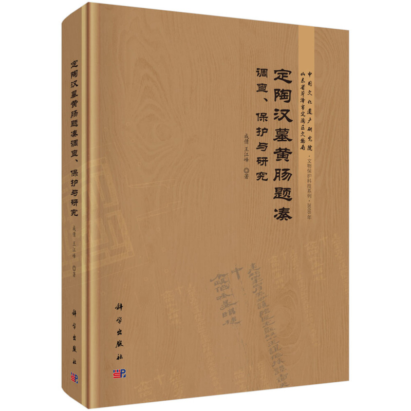 中国文化遗产研究院文物保护科技系列定陶汉墓黄肠题凑调查保护与研究