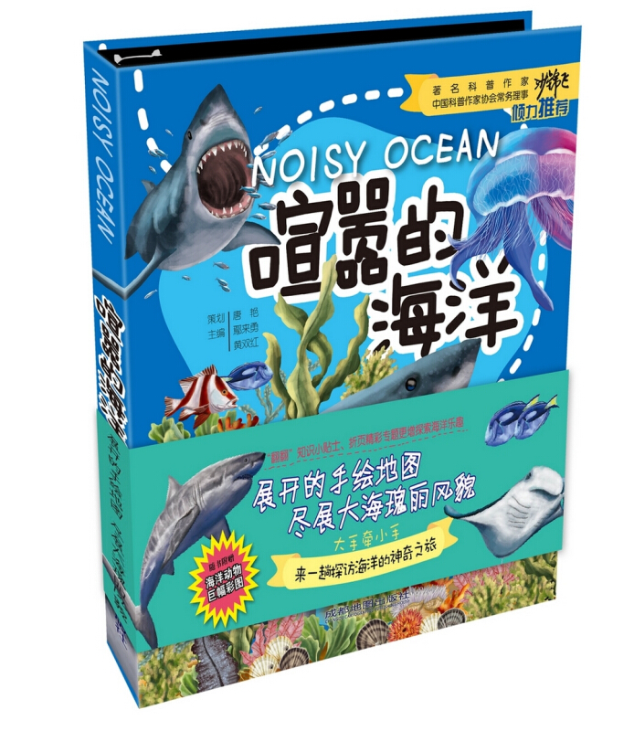 喧嚣的海洋