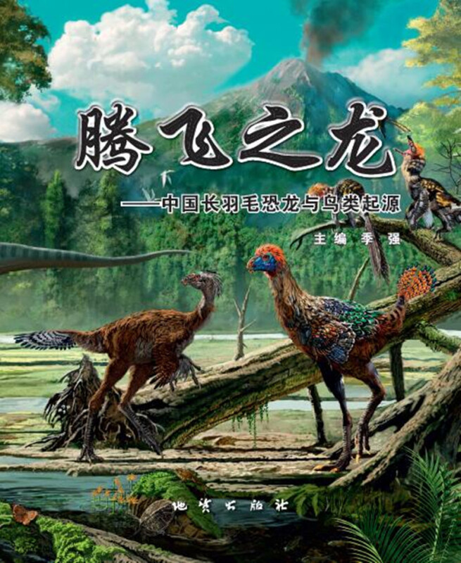 腾飞之龙中国长羽毛恐龙与鸟类起源