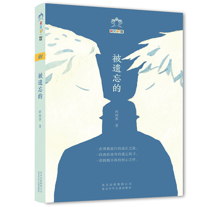 彩风筝原创书系:被遗忘的(儿童长篇小说)
