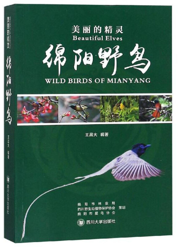 美丽的精灵:绵阳野鸟