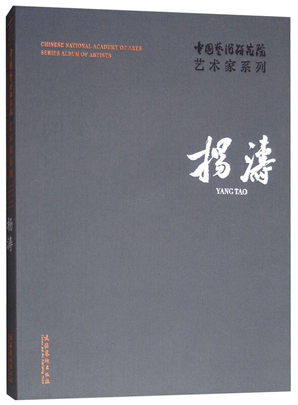 中国艺术研究院艺术家系列:杨涛