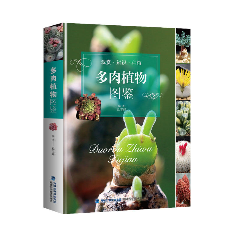 多肉植物图鉴