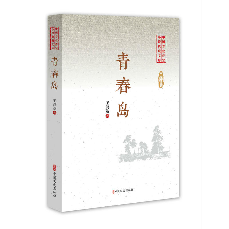 青春岛(中国专业作家小说典藏文库·王鸿达卷)