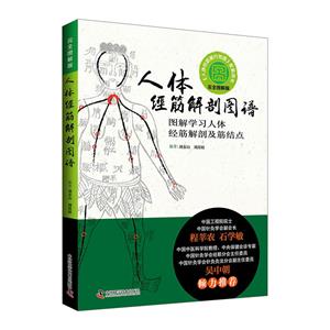 人体经筋解剖图谱:图解学习人体经筋解剖及筋结点