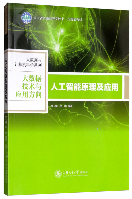 大数据与计算机科学系列人工智能原理及应用