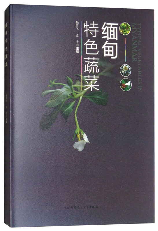 缅甸特色蔬菜