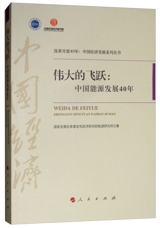 伟大的飞跃:中国能源发展40年/改革开放40年中国经济发展系列丛书