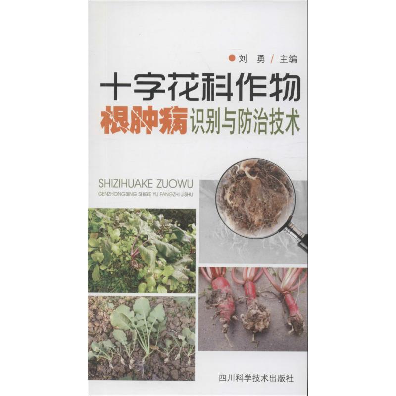 十字花科作物根肿病识别与防治技术