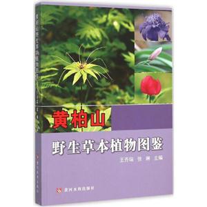 黄柏山野生草本植物图鉴